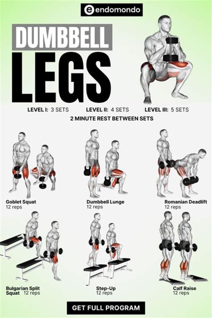 dumbbell leg workout