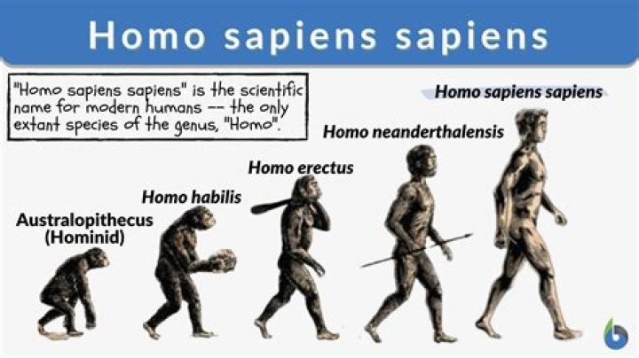 homosapien definition