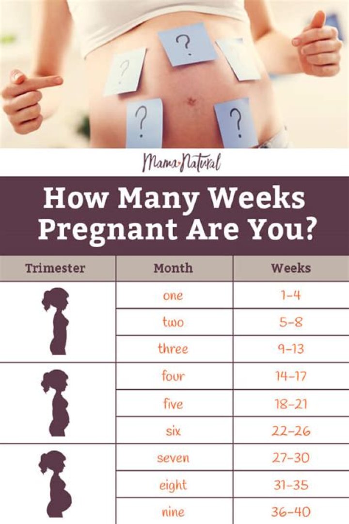 How Many Months Is 11 Weeks