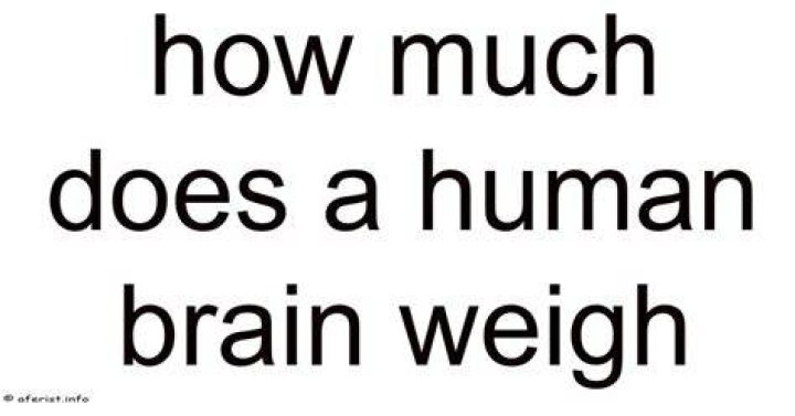 How Much Does A Human Head Weigh