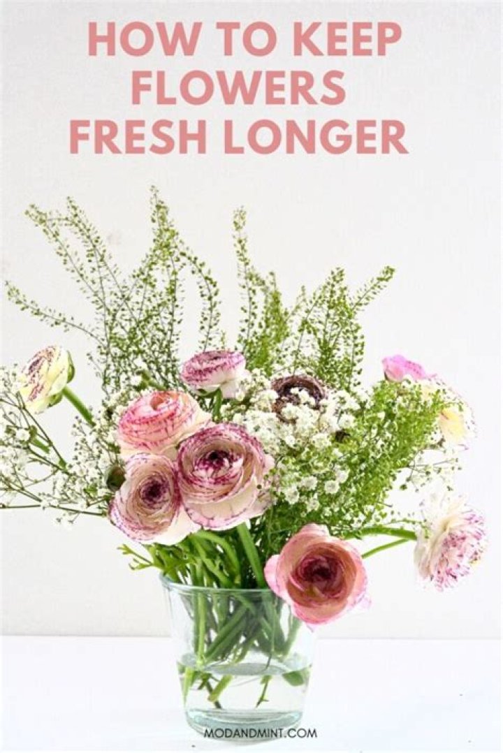 How to keep flowers fresh