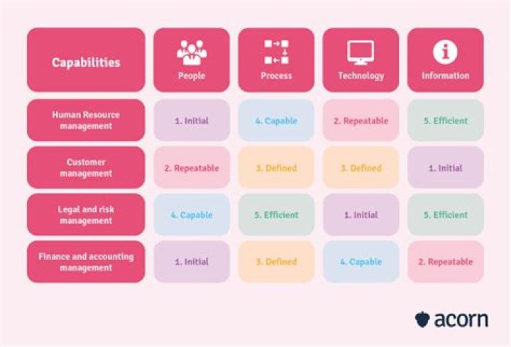 Information Capabilities Framework - How To Discuss