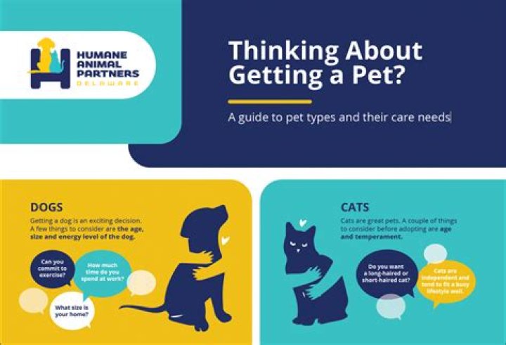 Pet partners - How To Discuss