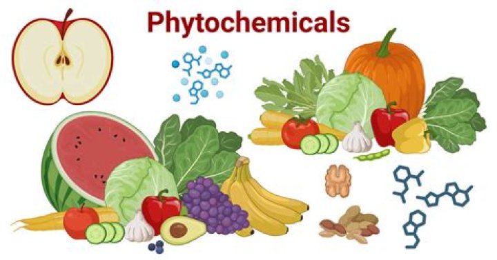 phytochemicals are