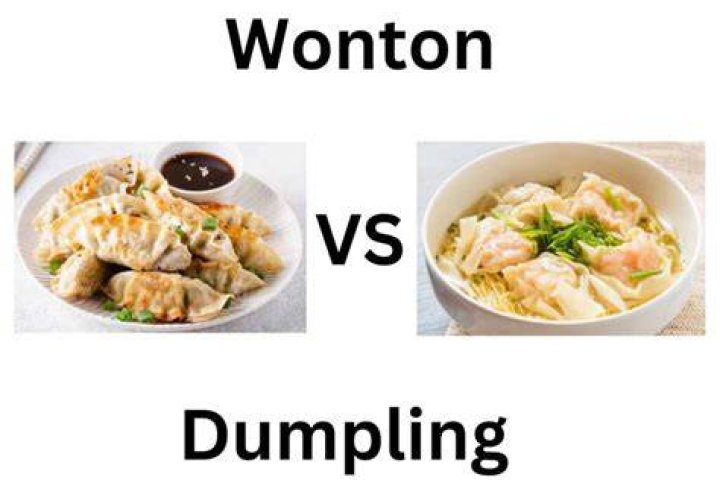 Wonton Vs Dumpling - How To Discuss