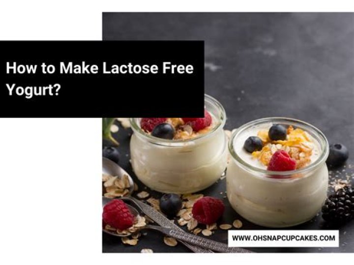 yogurt lactose